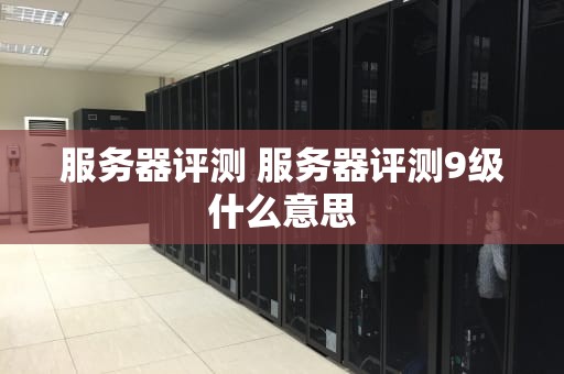 服务器评测 服务器评测9级什么意思