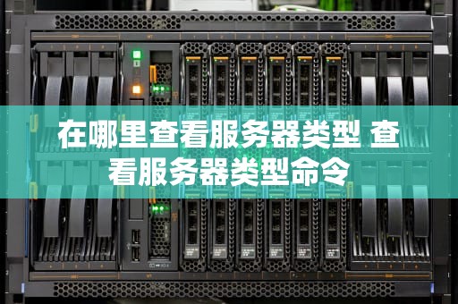 在哪里查看服务器类型 查看服务器类型命令
