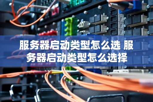 服务器启动类型怎么选 服务器启动类型怎么选择