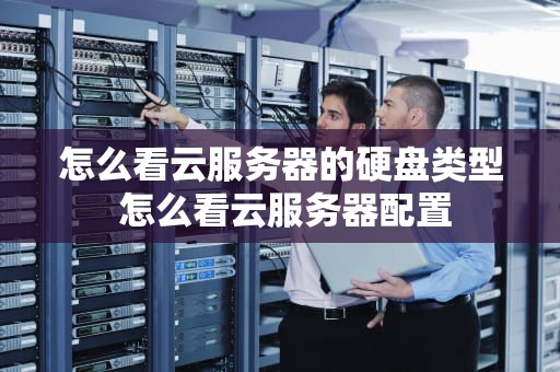 怎么看云服务器的硬盘类型 怎么看云服务器配置