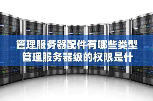 管理服务器配件有哪些类型 管理服务器级的权限是什么的责任