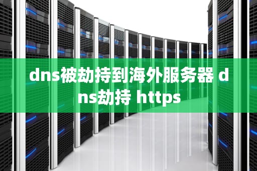 dns被劫持到海外服务器 dns劫持 https