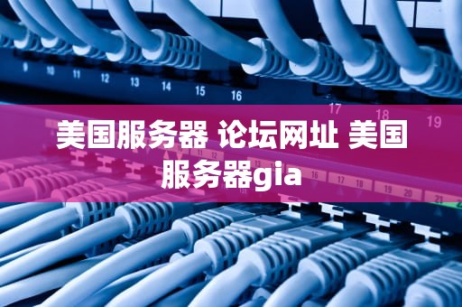 美国服务器 论坛网址 美国服务器gia