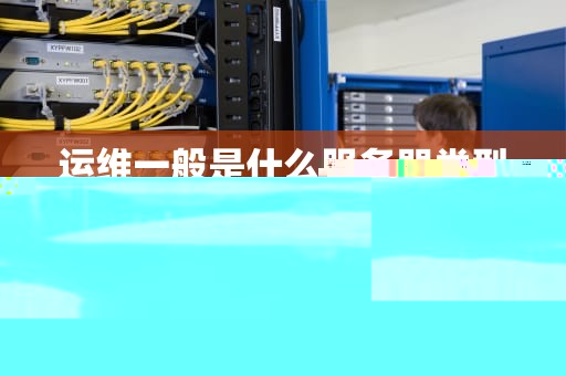 运维一般是什么服务器类型 运维服务内容范围