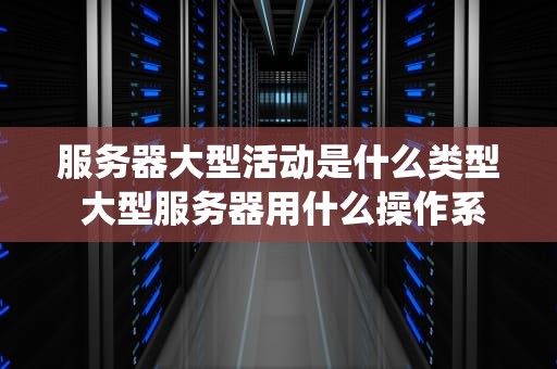 服务器大型活动是什么类型 大型服务器用什么操作系统