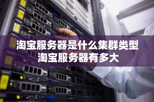 淘宝服务器是什么集群类型 淘宝服务器有多大