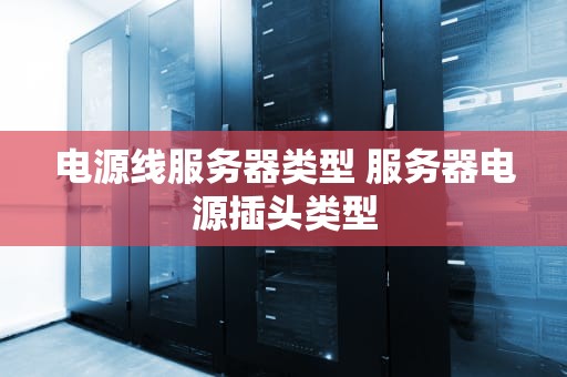 电源线服务器类型 服务器电源插头类型