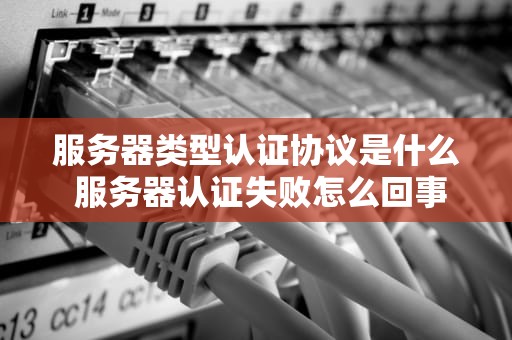 服务器类型认证协议是什么 服务器认证失败怎么回事