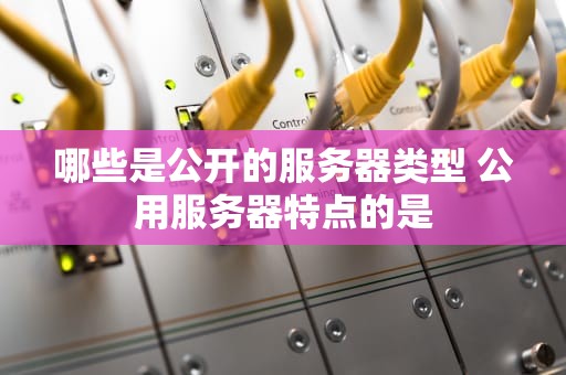 哪些是公开的服务器类型 公用服务器特点的是
