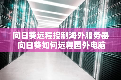 向日葵远程控制海外服务器 向日葵如何远程国外电脑