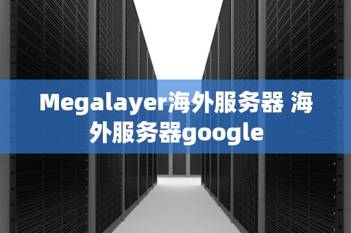 Megalayer海外服务器 海外服务器google