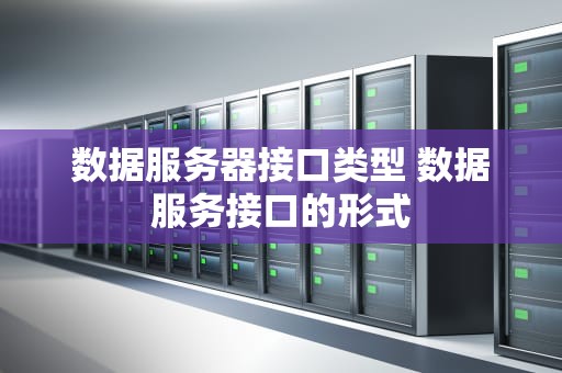 数据服务器接口类型 数据服务接口的形式
