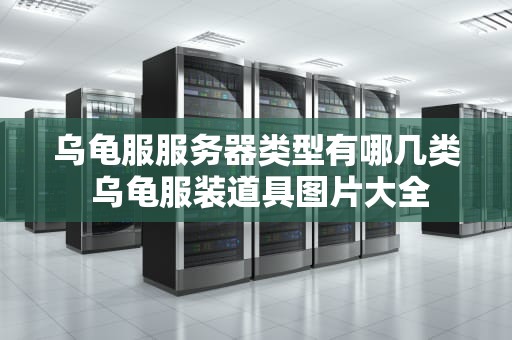 乌龟服服务器类型有哪几类 乌龟服装道具图片大全
