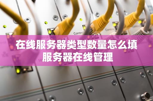 在线服务器类型数量怎么填 服务器在线管理