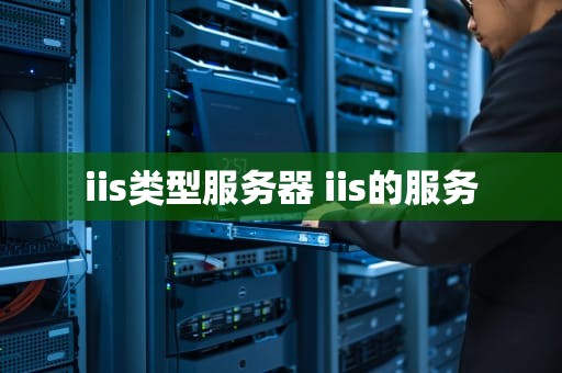 iis类型服务器 iis的服务