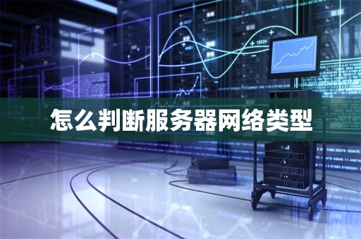 怎么判断服务器网络类型