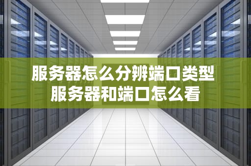 服务器怎么分辨端口类型 服务器和端口怎么看
