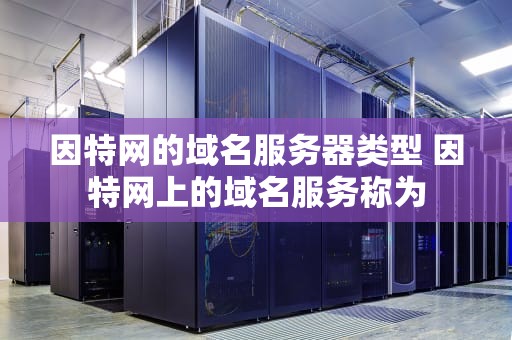 因特网的域名服务器类型 因特网上的域名服务称为