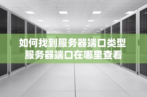 如何找到服务器端口类型 服务器端口在哪里查看