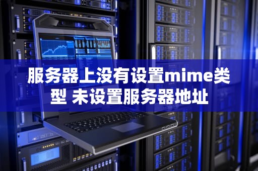 服务器上没有设置mime类型 未设置服务器地址
