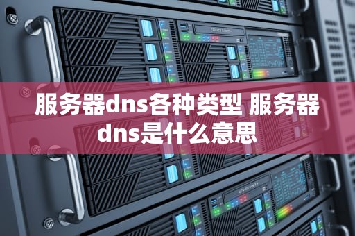 服务器dns各种类型 服务器dns是什么意思