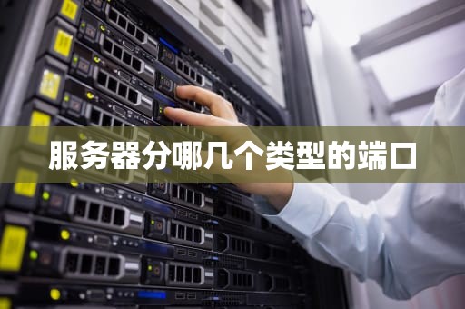 服务器分哪几个类型的端口