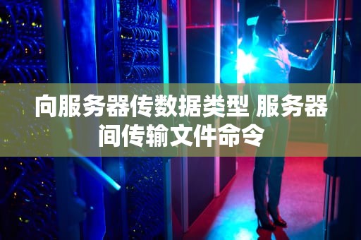 向服务器传数据类型 服务器间传输文件命令