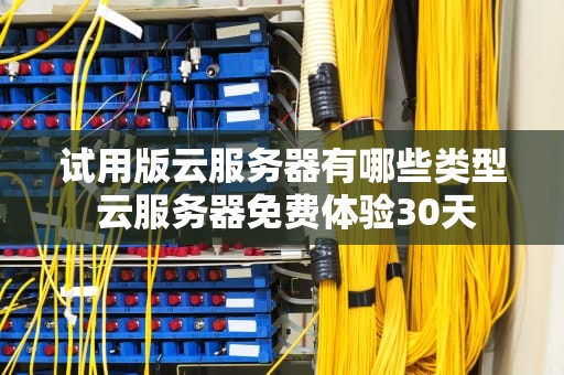 试用版云服务器有哪些类型 云服务器免费体验30天