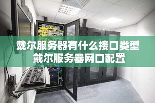 戴尔服务器有什么接口类型 戴尔服务器网口配置