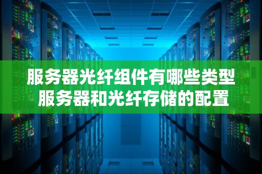 服务器光纤组件有哪些类型 服务器和光纤存储的配置