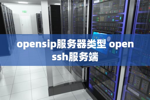 opensip服务器类型 openssh服务端