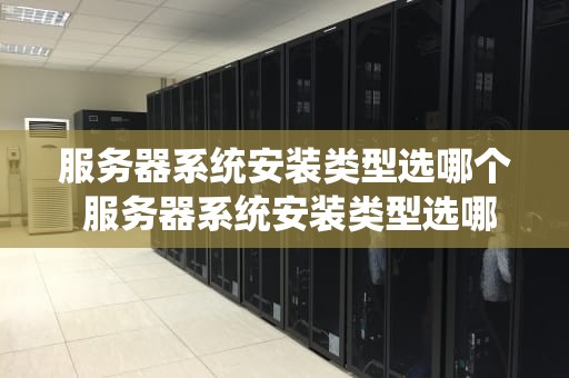 服务器系统安装类型选哪个 服务器系统安装类型选哪个比较好