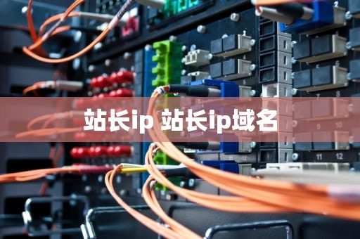 站长ip 站长ip域名