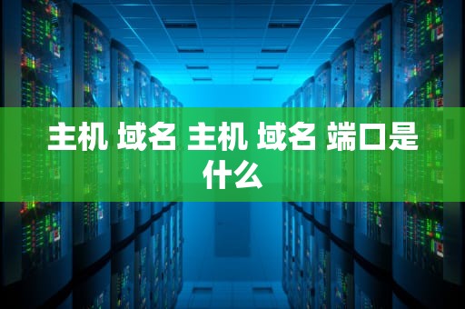 主机 域名 主机 域名 端口是什么