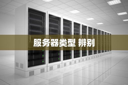 服务器类型 辨别