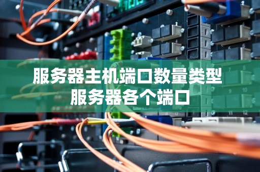 服务器主机端口数量类型 服务器各个端口