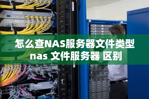 怎么查NAS服务器文件类型 nas 文件服务器 区别