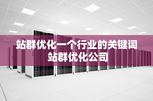 站群优化一个行业的关键词 站群优化公司