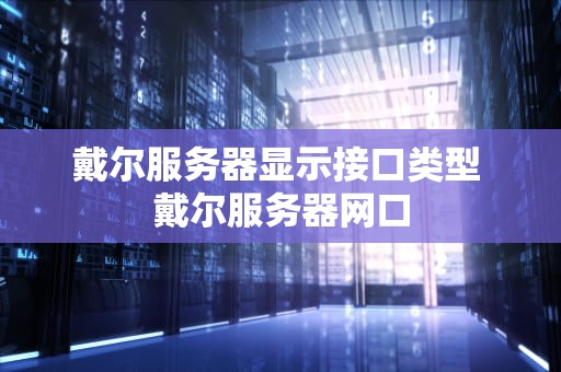 戴尔服务器显示接口类型 戴尔服务器网口