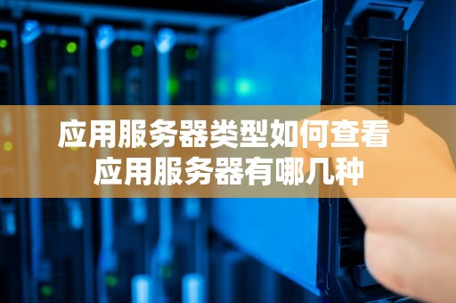 应用服务器类型如何查看 应用服务器有哪几种