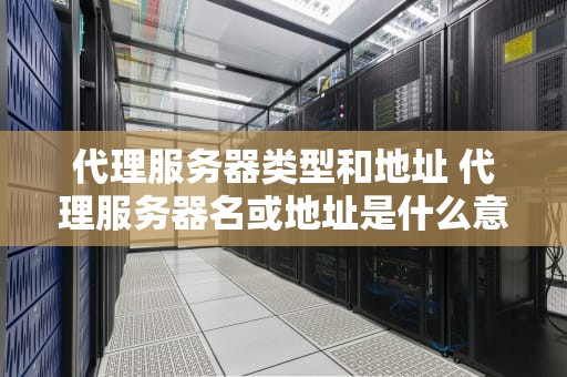 代理服务器类型和地址 代理服务器名或地址是什么意思