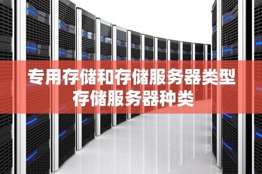 专用存储和存储服务器类型 存储服务器种类