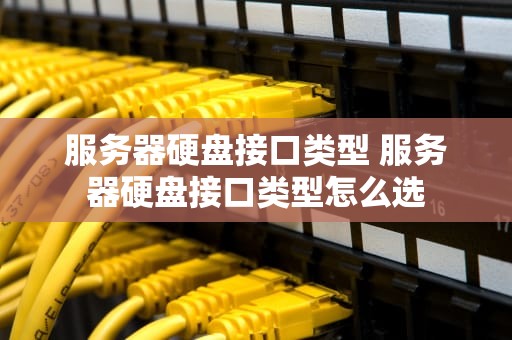 服务器硬盘接口类型 服务器硬盘接口类型怎么选