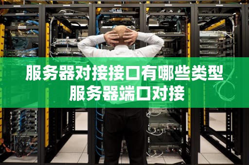 服务器对接接口有哪些类型 服务器端口对接