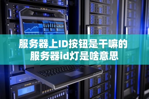 服务器上ID按钮是干嘛的 服务器id灯是啥意思