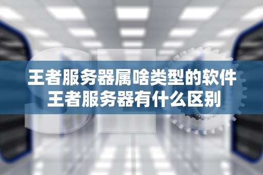 王者服务器属啥类型的软件 王者服务器有什么区别