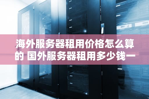 海外服务器租用价格怎么算的 国外服务器租用多少钱一年
