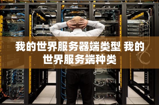 我的世界服务器端类型 我的世界服务端种类