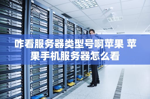 咋看服务器类型号啊苹果 苹果手机服务器怎么看