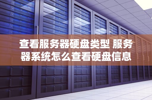 查看服务器硬盘类型 服务器系统怎么查看硬盘信息